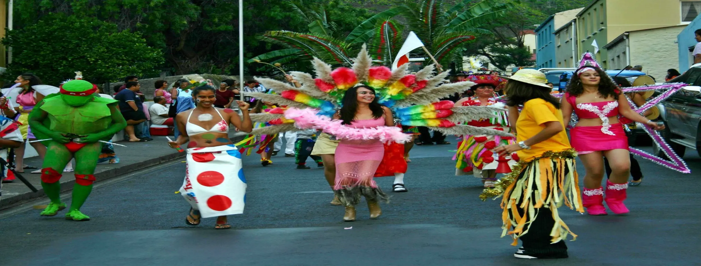 Image for Cultural Immersions